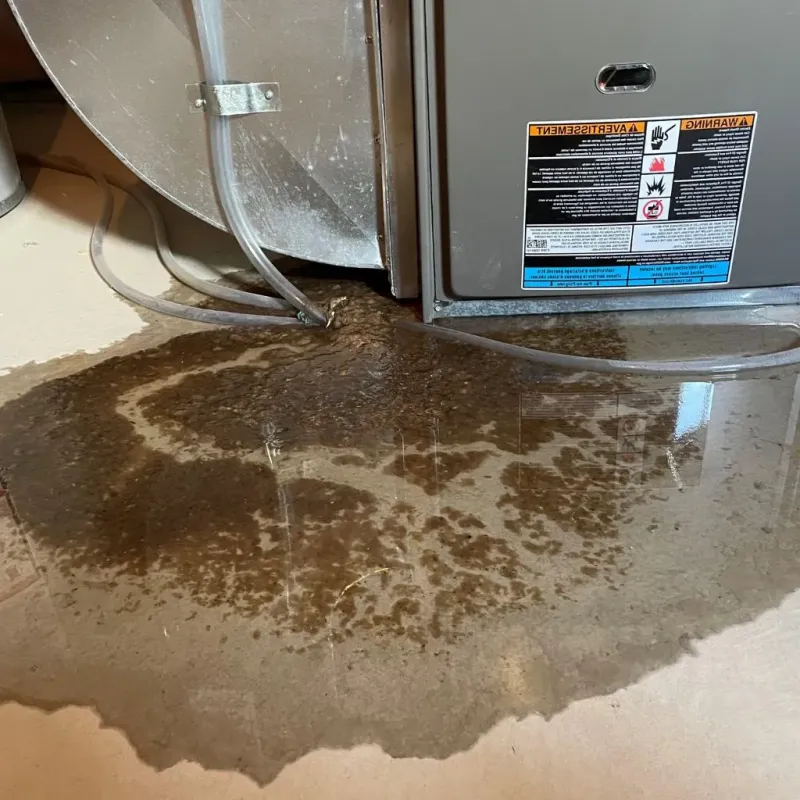 Pipe Burst and Leak Restoration in Kootenai County, ID