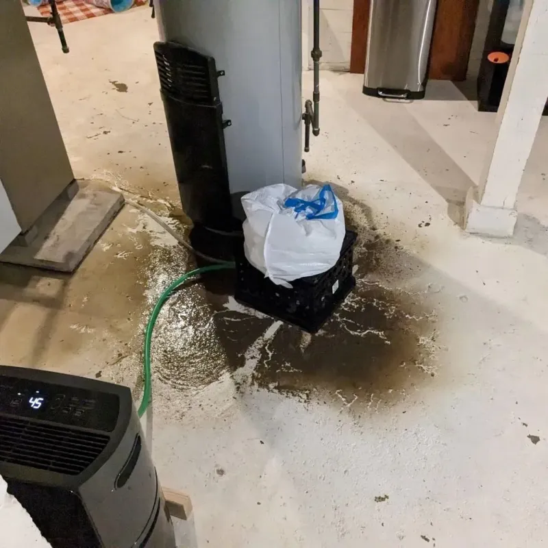 Sewage Backup Cleanup Service in Kootenai County, ID